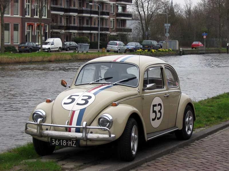 Herby.webp