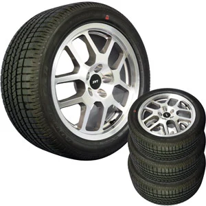 HOL3668SETEagleF1P28540ZR1896WRear.webp