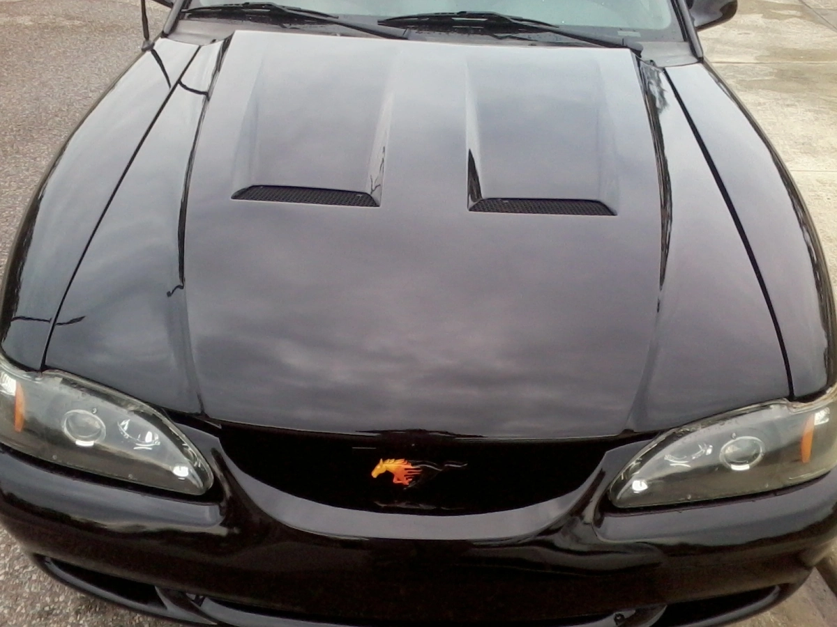 Hood and emblem.webp