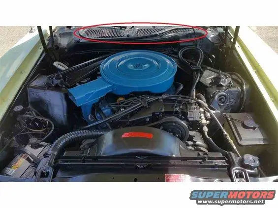 hood-seal-mustang.webp