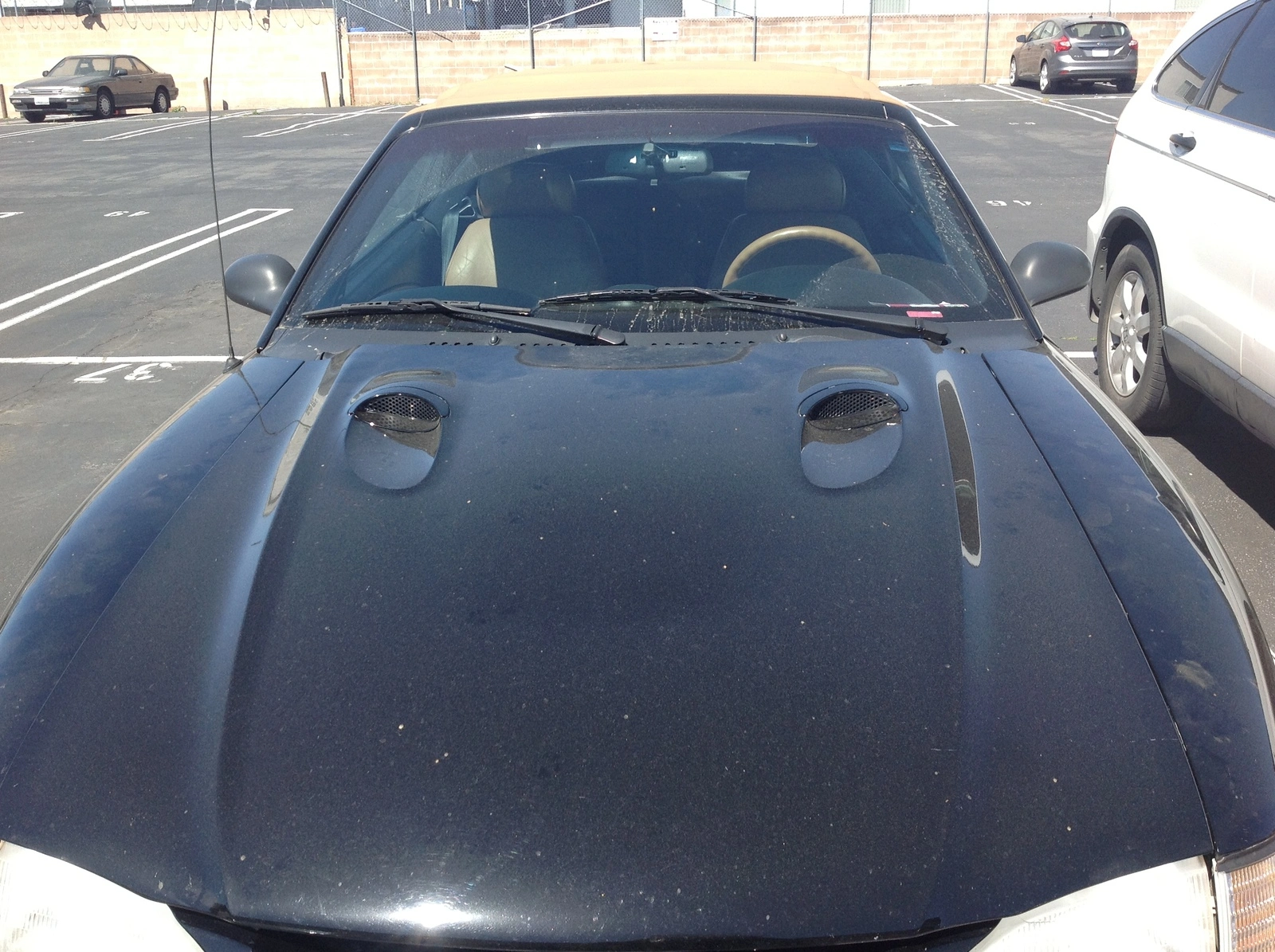 Hood.webp