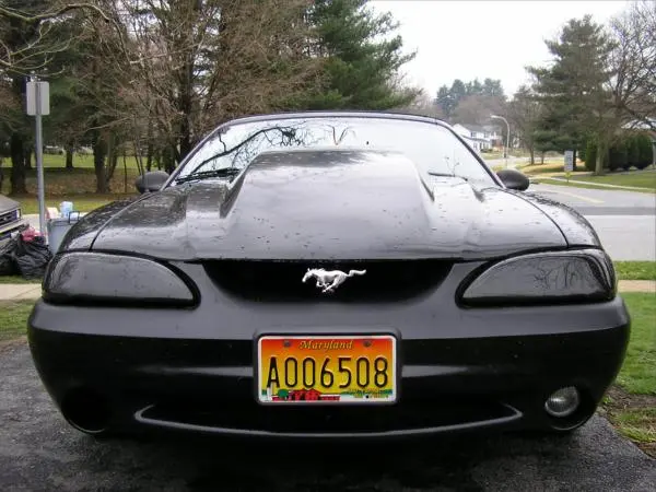 hood2.webp