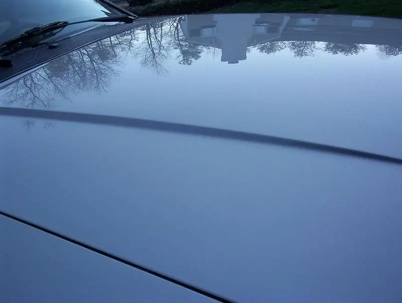 hoodcloseup.webp