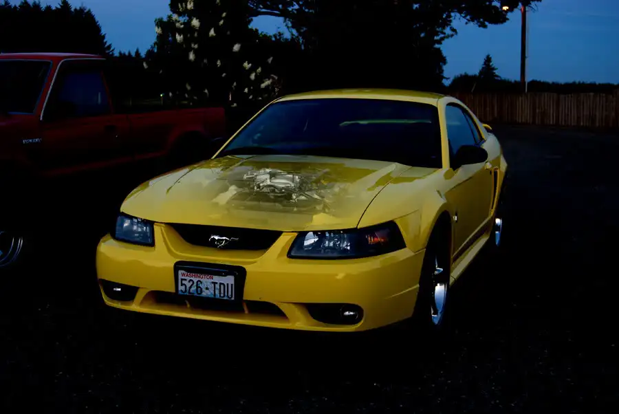 hoodlessresize.webp