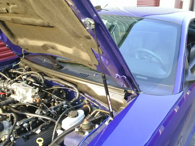hoodstruts1.webp