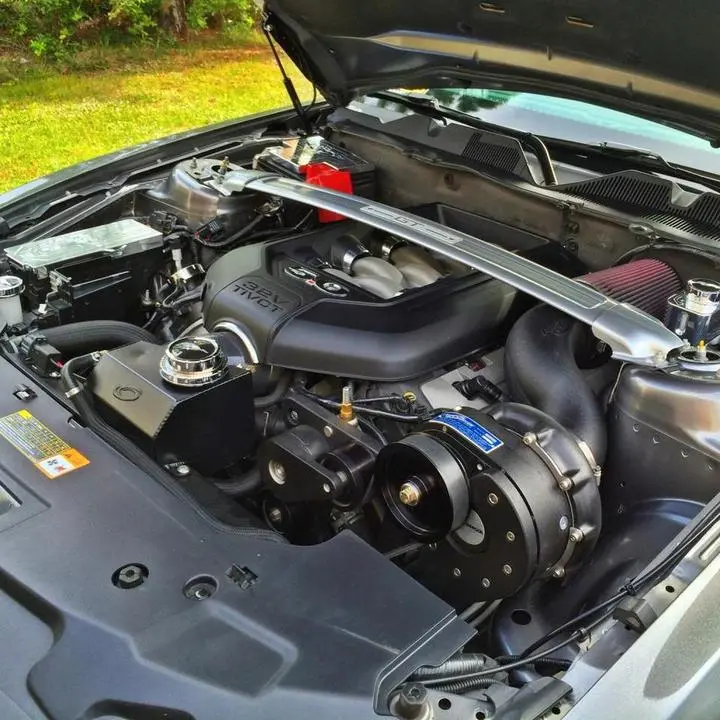 hoodstruts_zps1e41c399.webp