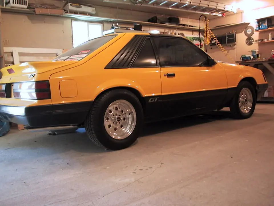 HOTSTANG.webp