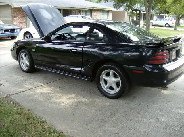 HPIM0697.webp