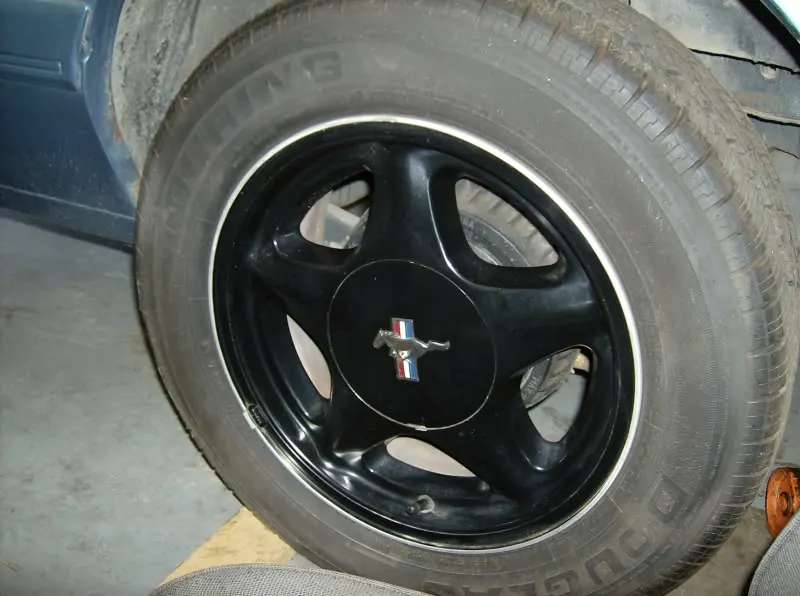 HPIM0951.webp