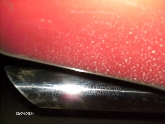 HPIM2531.webp