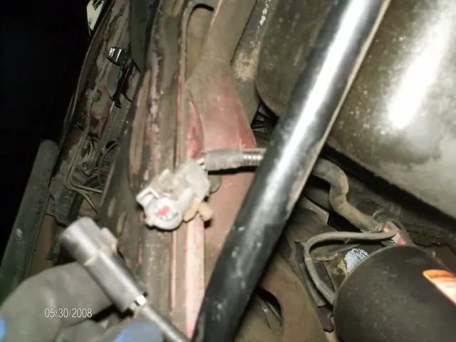 HPIM2550.webp