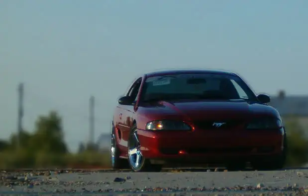HPIM3233croppedblurred.webp