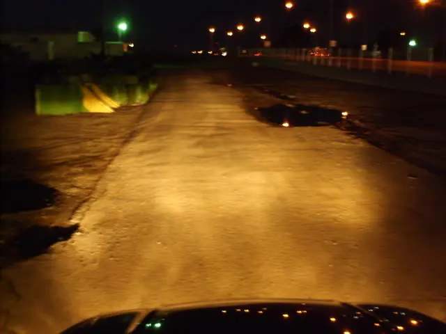 HPIM4545.webp