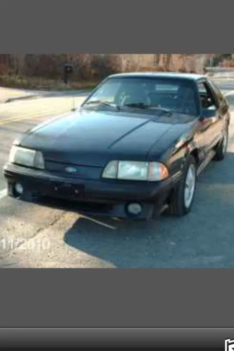 hubbysfoxbody2.webp