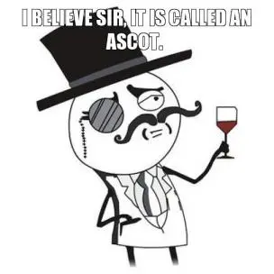 i-believe-sir-it-is-called-an-ascot-thumb.webp