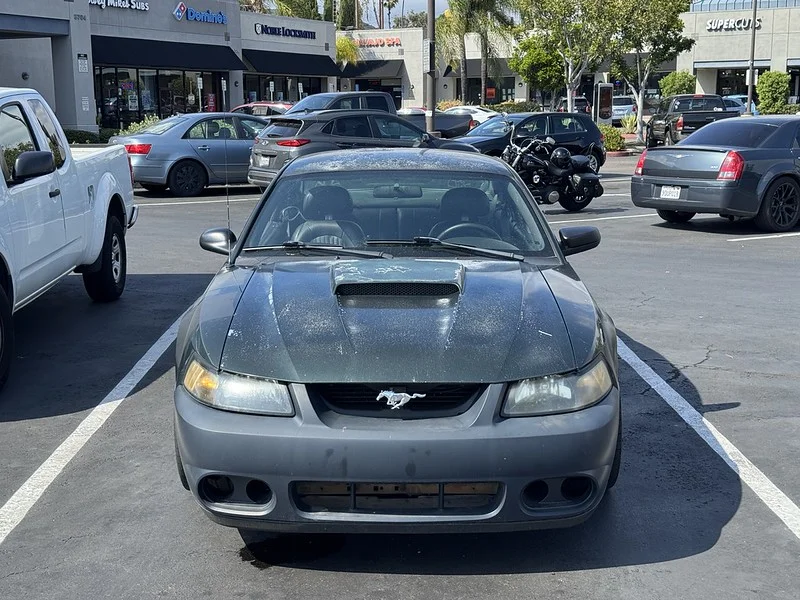i-fzWR4DT-L.webp