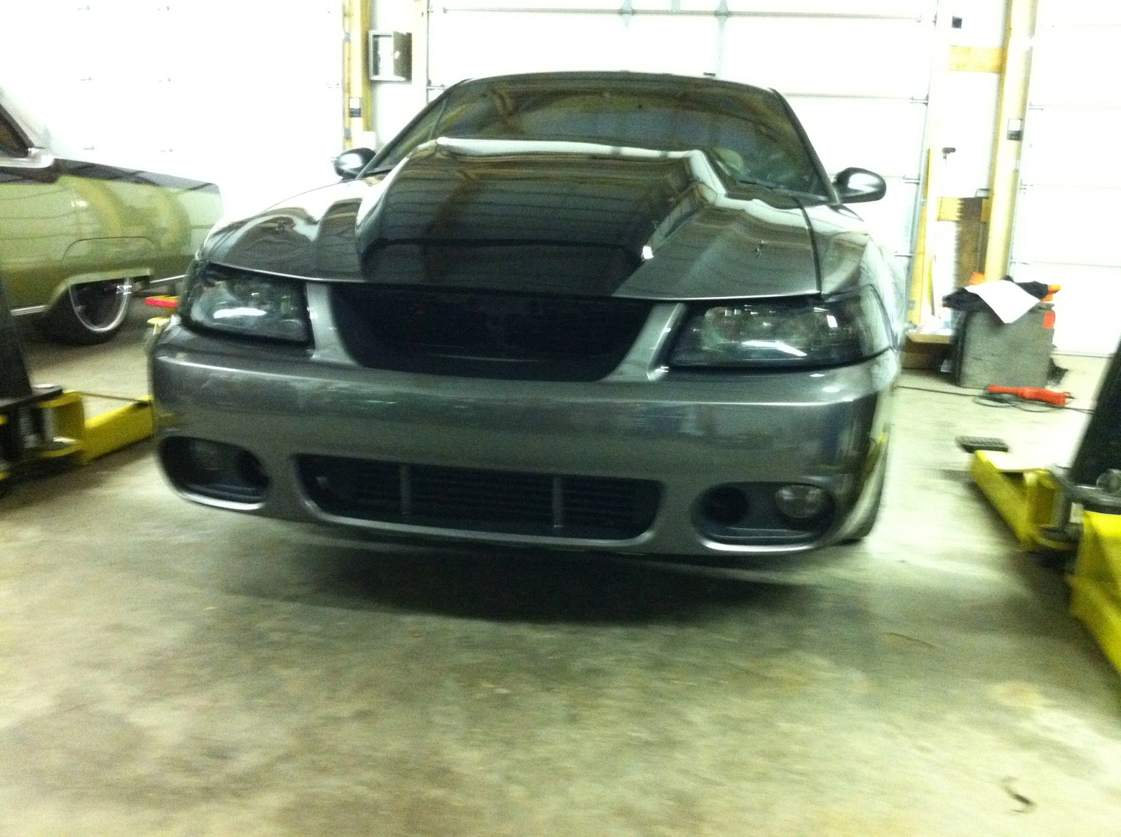i phone pics 179.webp