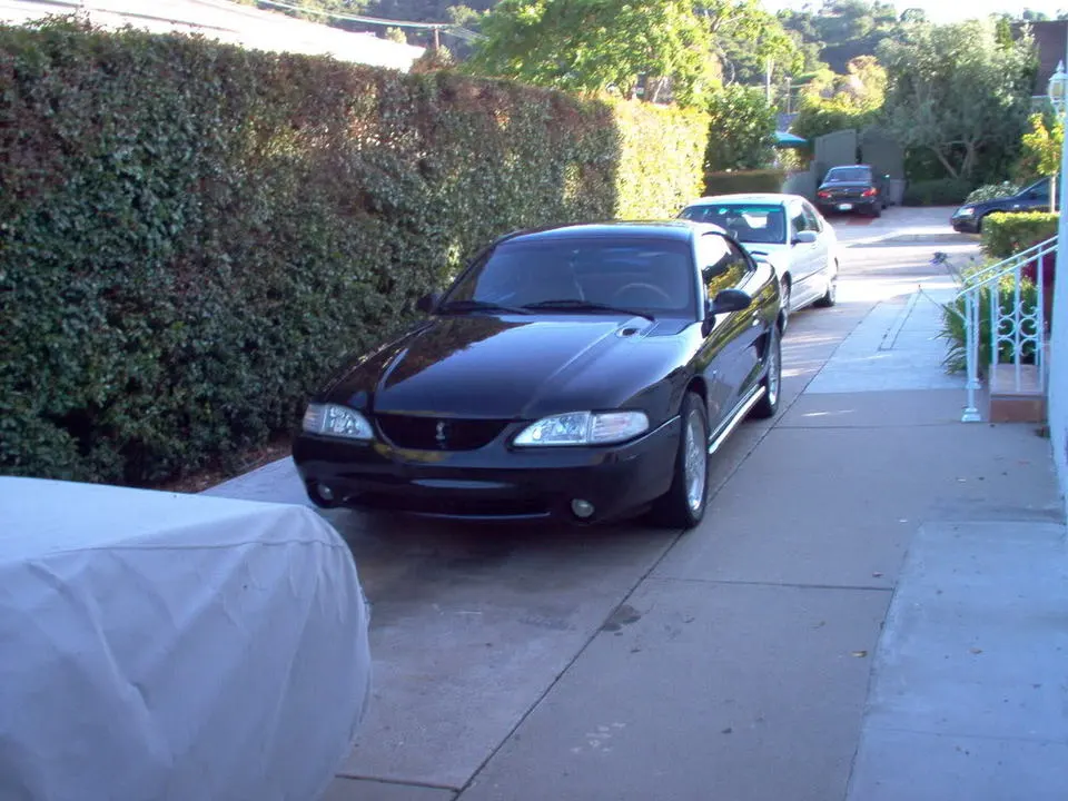IM000714.webp