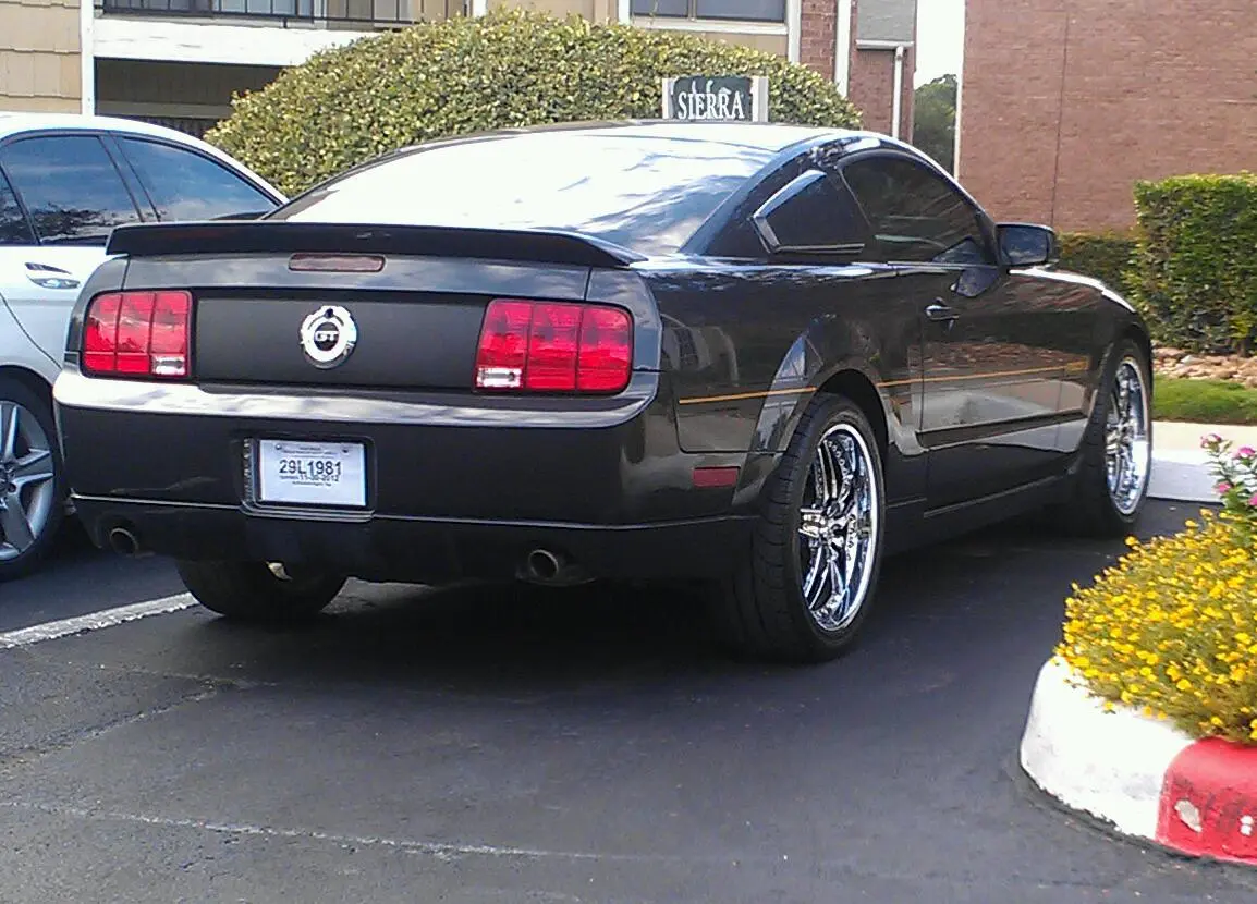 IMAG0003-1.webp