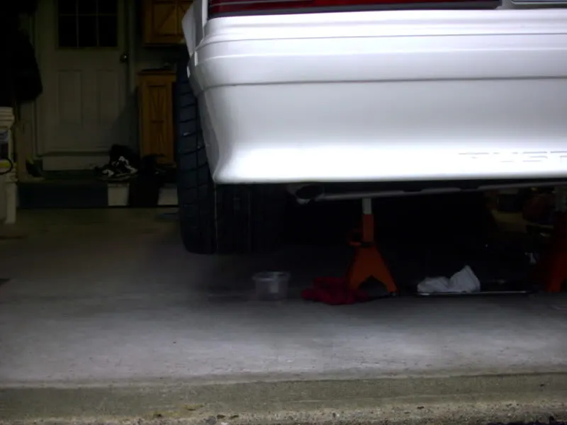 IMAG0004.webp