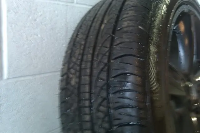 IMAG0013.webp