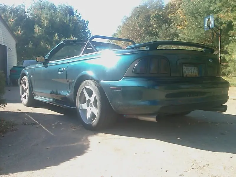 IMAG0021.webp