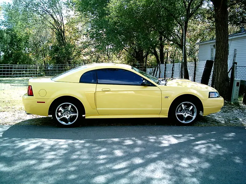 IMAG0026.webp