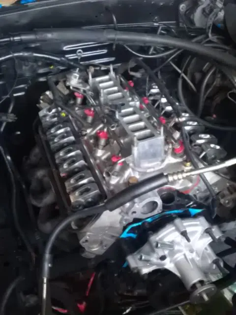 IMAG0040.webp