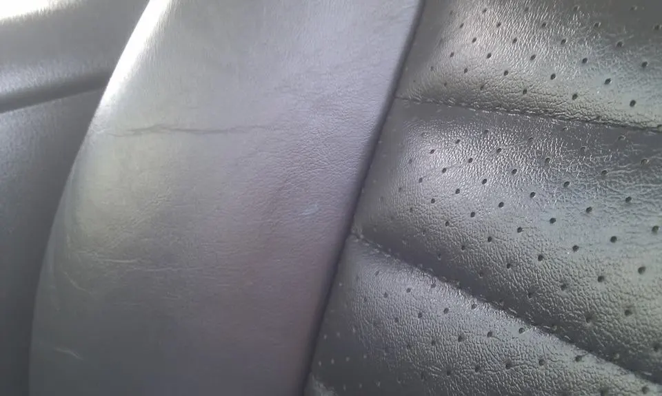 IMAG0041.webp