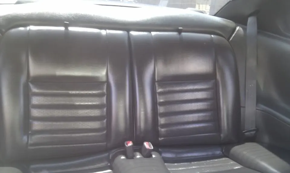 IMAG0048.webp