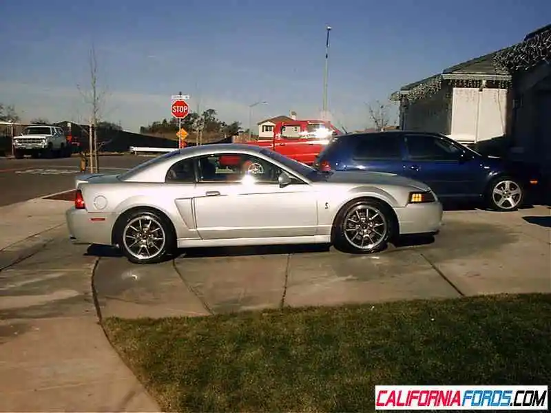 IMAG0048.webp