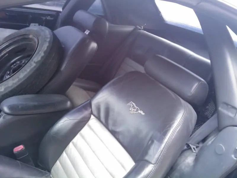 IMAG0050.webp