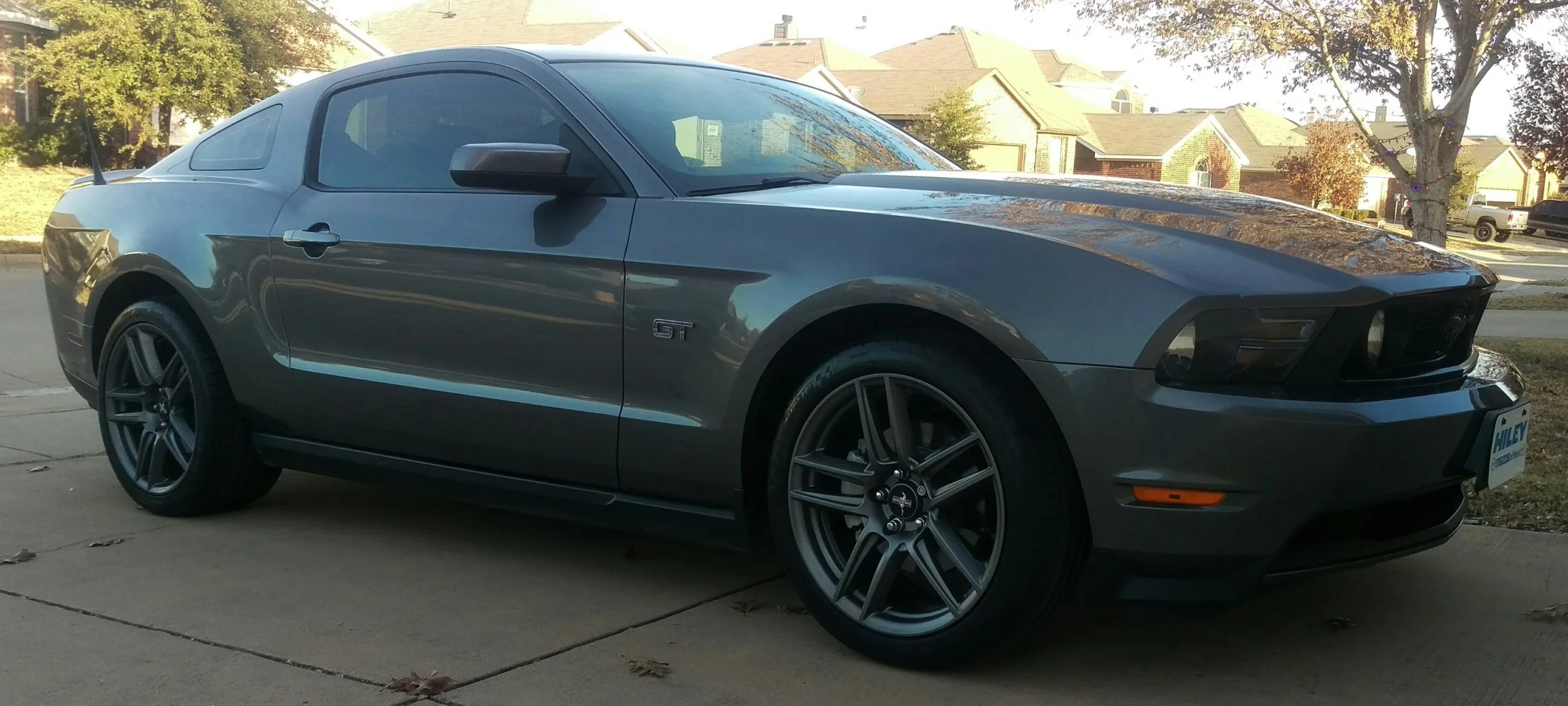 IMAG0080_2.webp