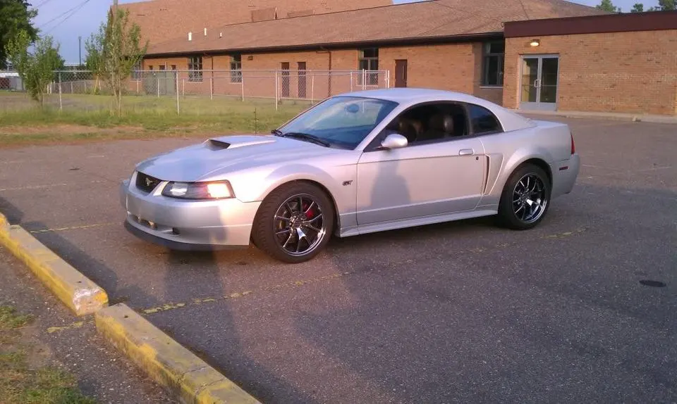 IMAG0083.webp