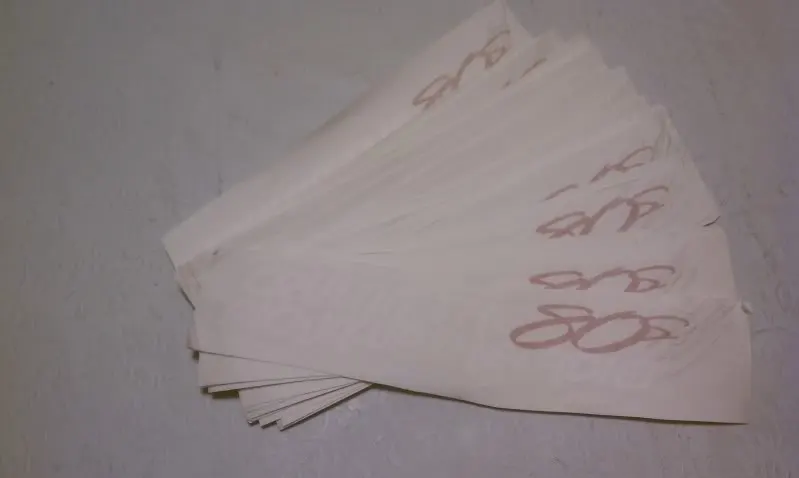 IMAG0108.webp