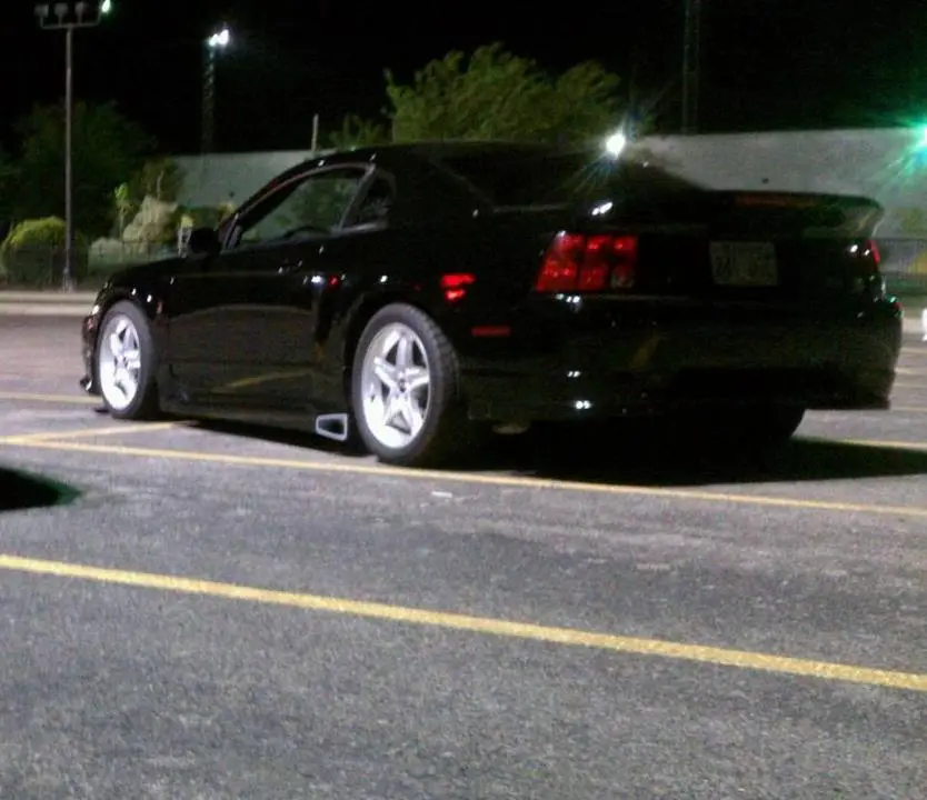 IMAG0115-1.webp