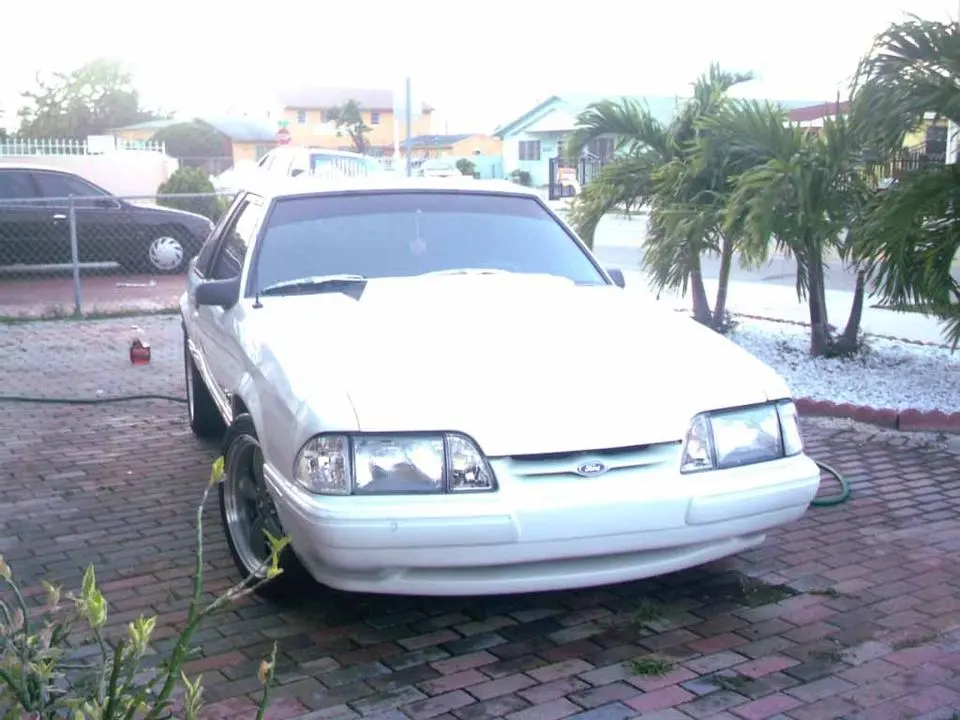 IMAG0118.webp