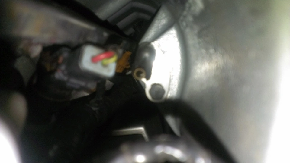 IMAG0122.webp