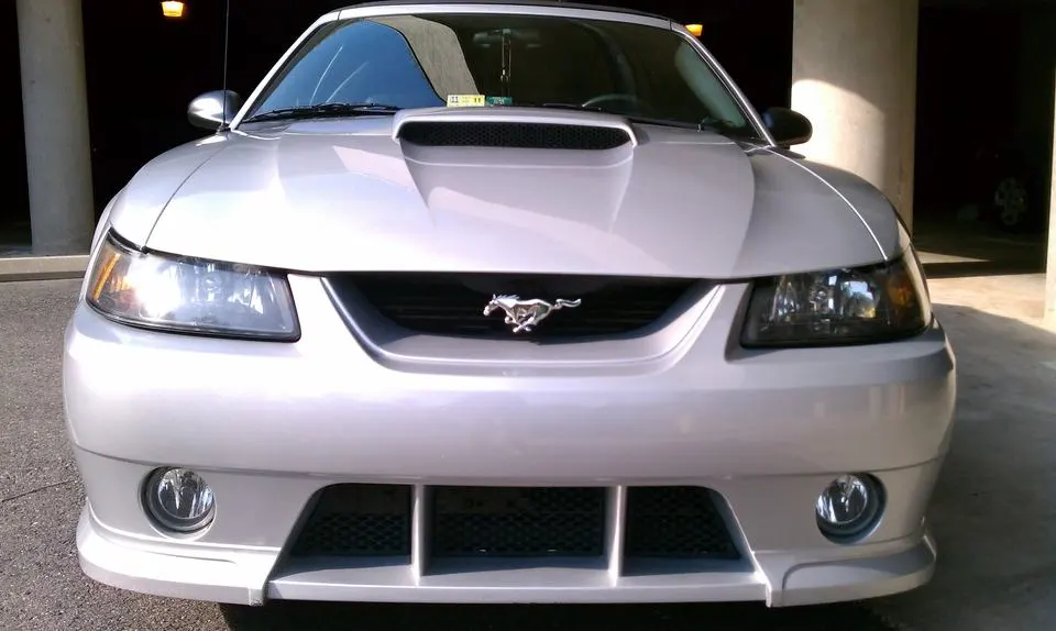 IMAG0122.webp
