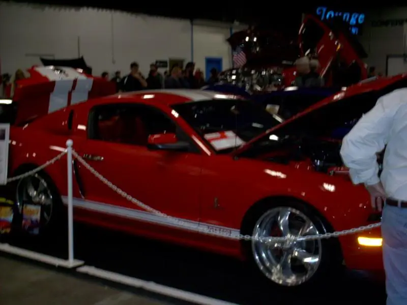IMAG0136.webp