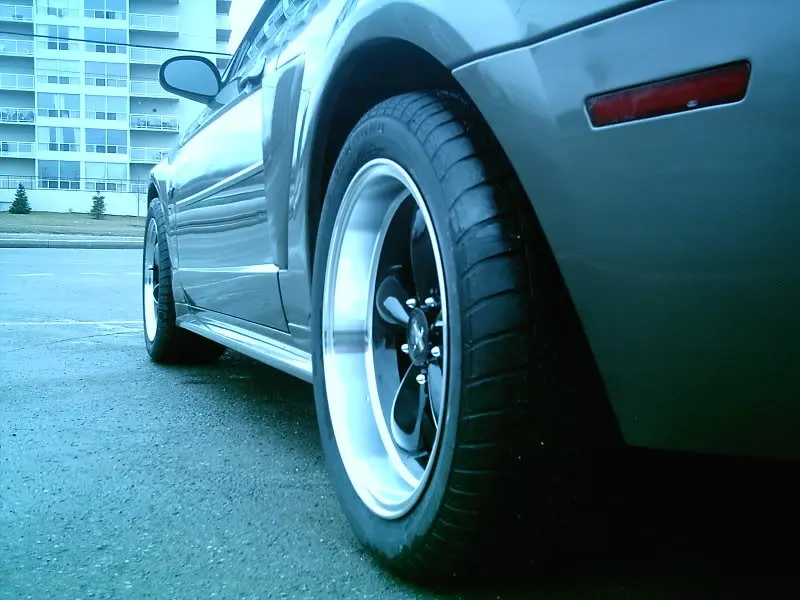 IMAG0140.webp