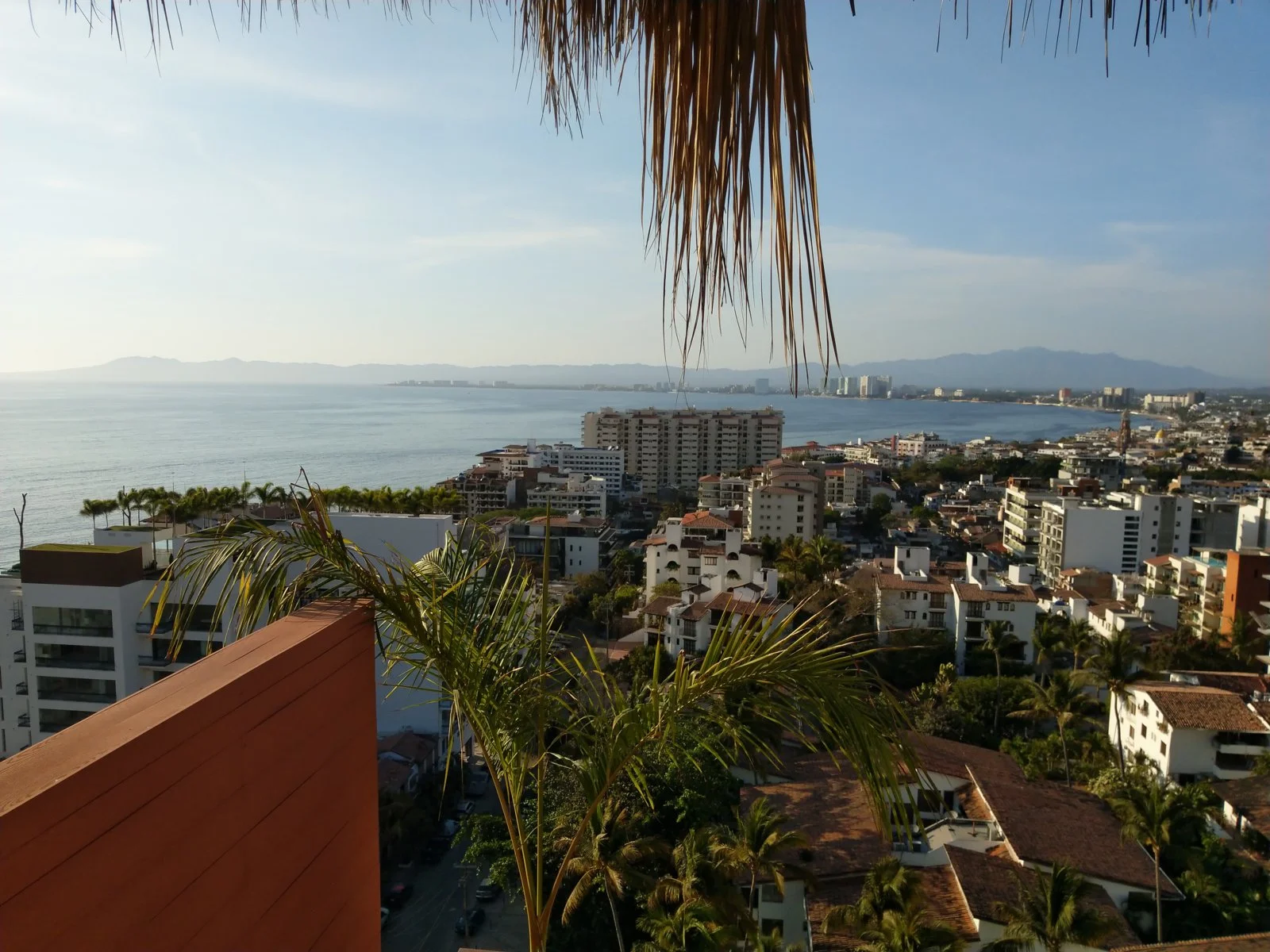 IMAG0140.webp
