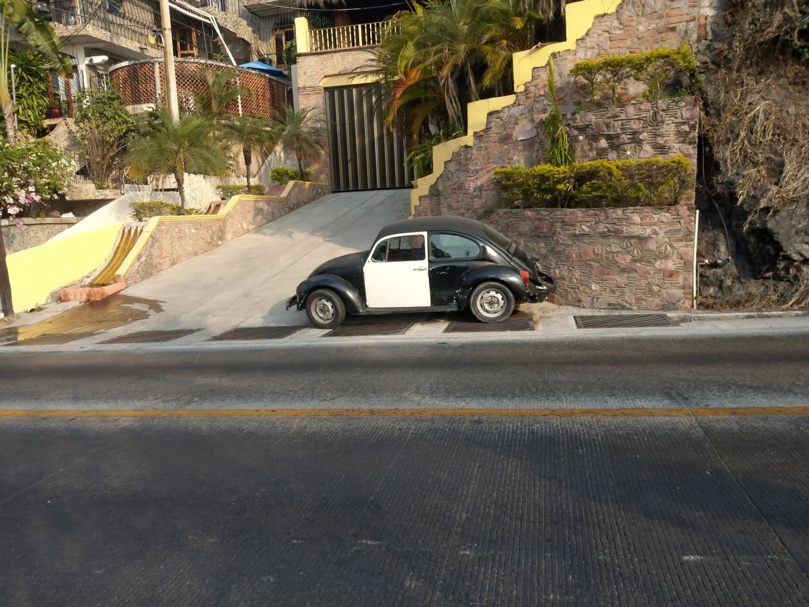 IMAG0150.webp