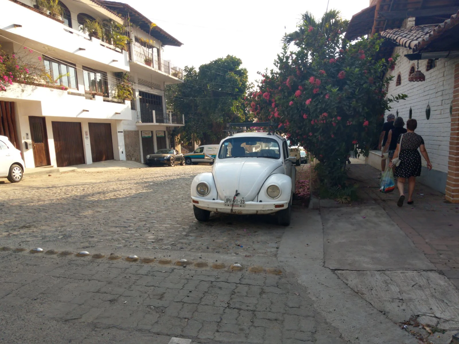 IMAG0151.webp