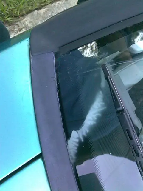 IMAG0162.webp