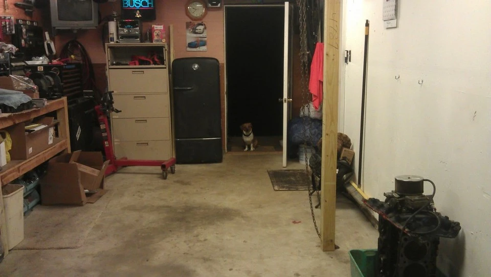 IMAG0179.webp