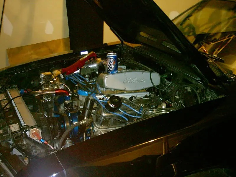 IMAG0223.webp