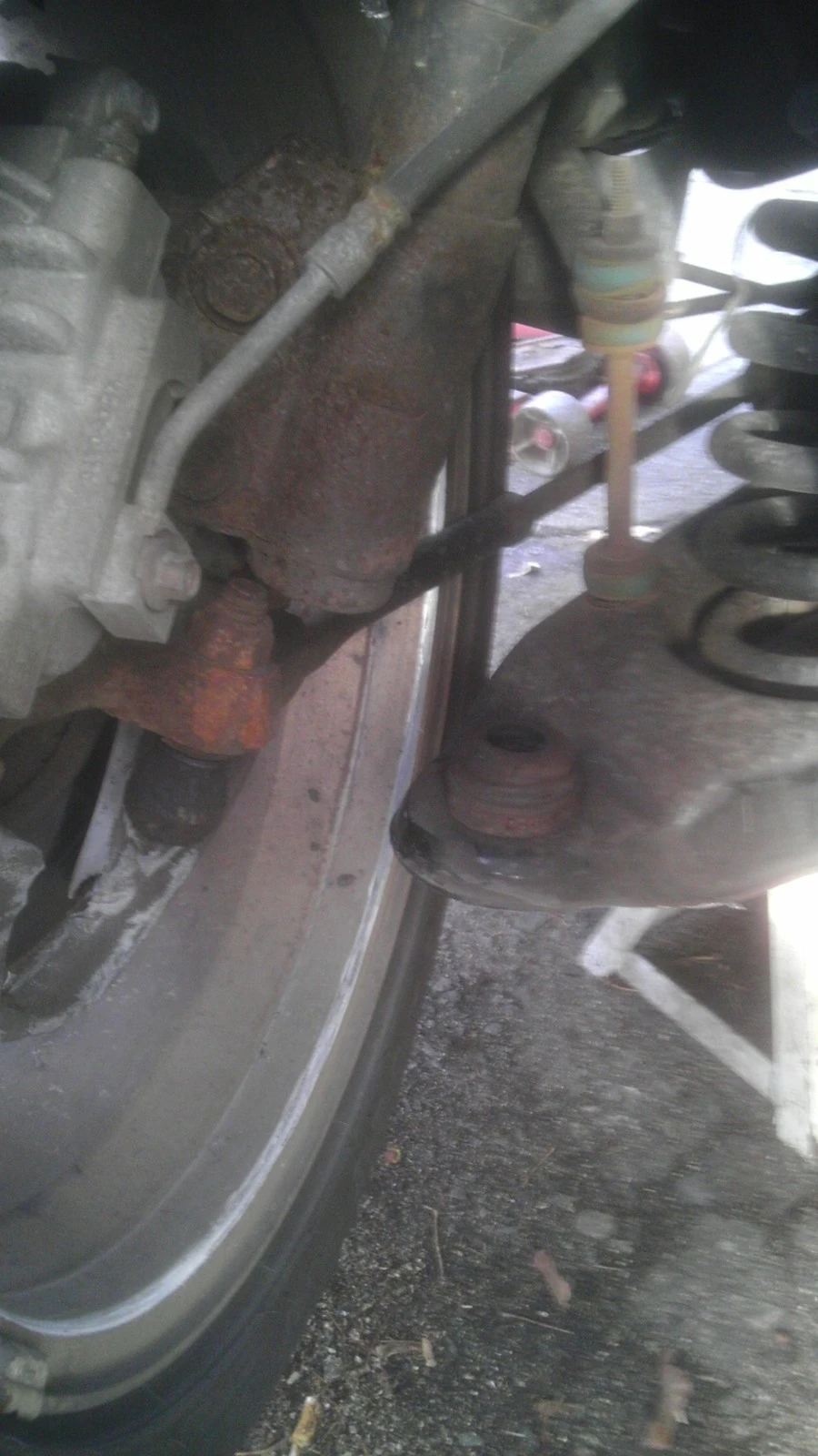 IMAG0227.webp
