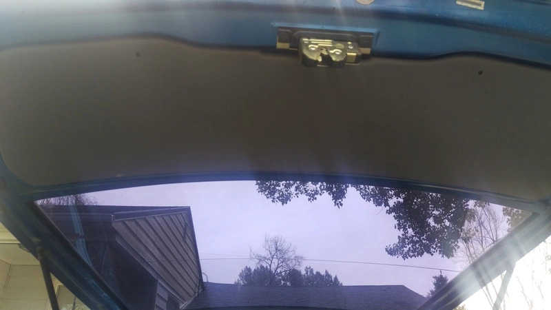 IMAG0231_zpsae3ezm9r.webp