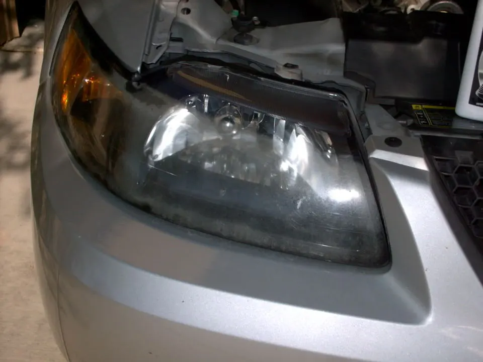 IMAG0232.webp